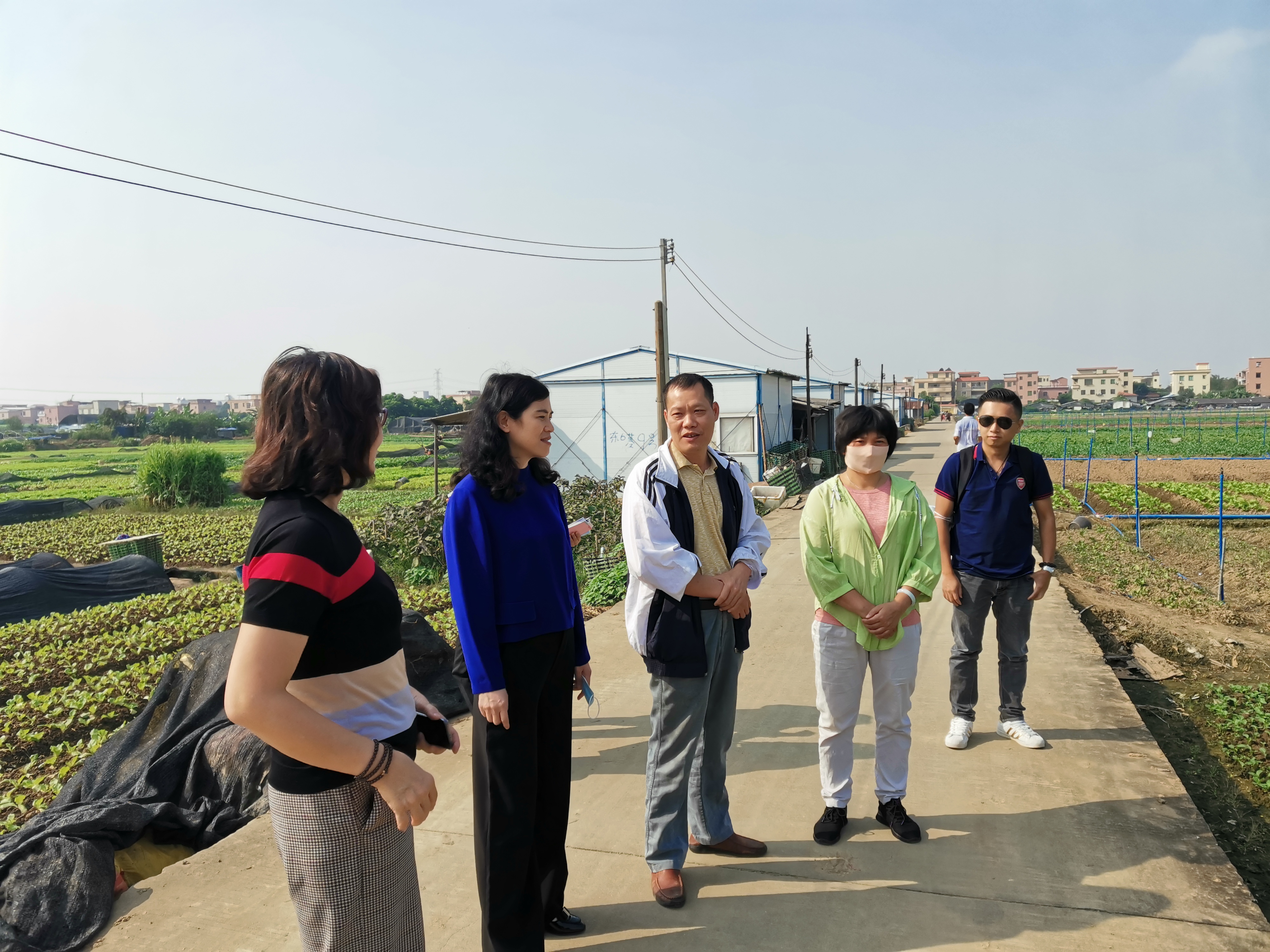 市妇联一行参观石碁镇禺锋蔬菜种植农民专业合作社.jpg